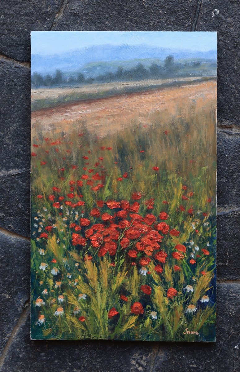 Amapolas