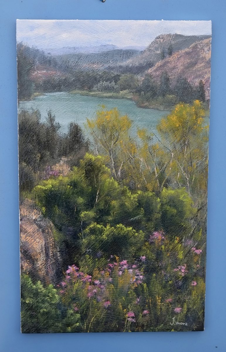Embalse Cofrentes